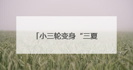 小三轮变身“三夏”移动服务站 暖心服务直达田间地头