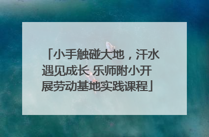 小手触碰大地，汗水遇见成长 乐师附小开展劳动基地实践课程