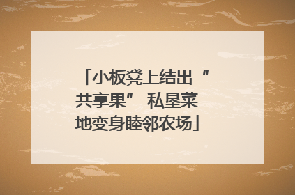 小板凳上结出“共享果” 私垦菜地变身睦邻农场