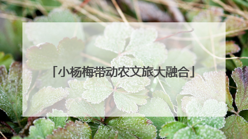 小杨梅带动农文旅大融合