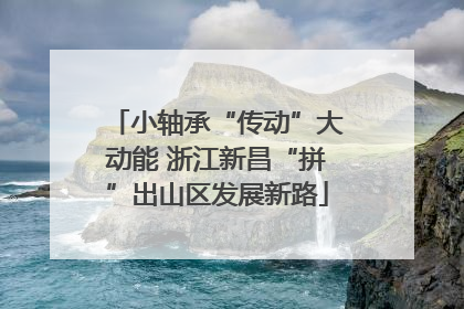 小轴承“传动”大动能 浙江新昌“拼”出山区发展新路