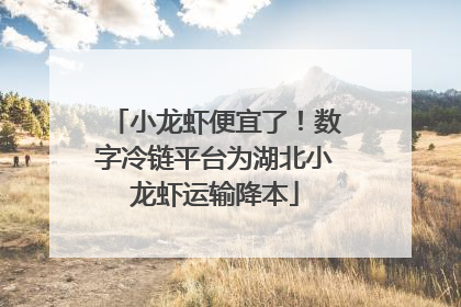小龙虾便宜了！数字冷链平台为湖北小龙虾运输降本