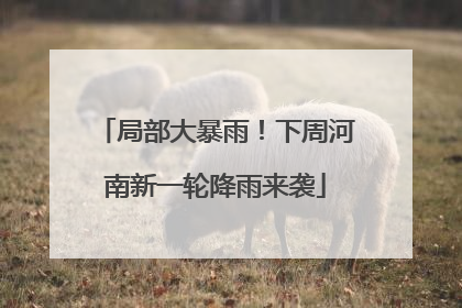 局部大暴雨！下周河南新一轮降雨来袭