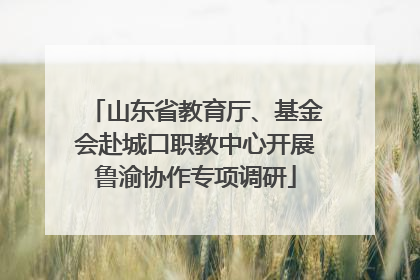 山东省教育厅、基金会赴城口职教中心开展鲁渝协作专项调研