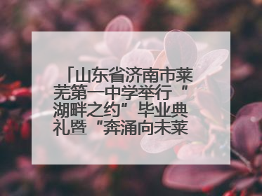山东省济南市莱芜第一中学举行“湖畔之约”毕业典礼暨“奔涌向未莱”主题毕业晚会