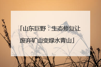 山东巨野：生态修复让废弃矿山变绿水青山