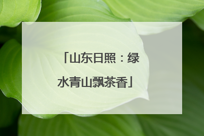 山东日照：绿水青山飘茶香