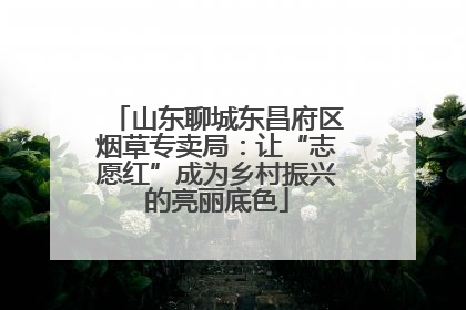 山东聊城东昌府区烟草专卖局：让“志愿红”成为乡村振兴的亮丽底色