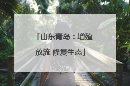山东青岛：增殖放流 修复生态