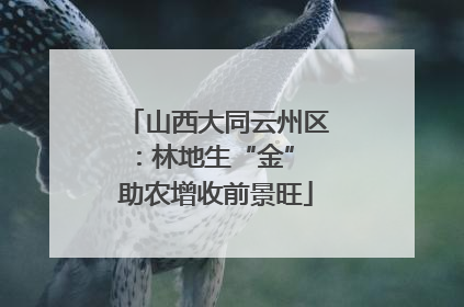山西大同云州区：林地生“金” 助农增收前景旺