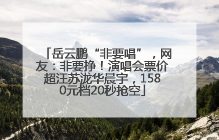 岳云鹏“非要唱”，网友：非要挣！演唱会票价超汪苏泷华晨宇，1580元档20秒抢空