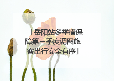 岳阳站多举措保障第三季度调图旅客出行安全有序