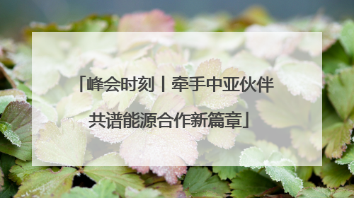 峰会时刻丨牵手中亚伙伴 共谱能源合作新篇章