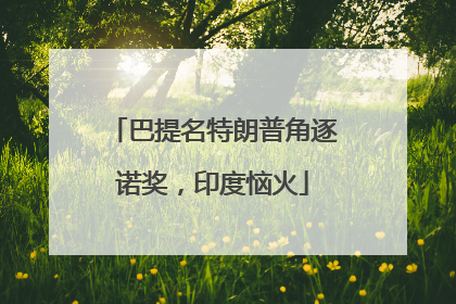 巴提名特朗普角逐诺奖，印度恼火