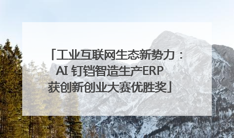 工业互联网生态新势力：AI 钉铛智造生产ERP获创新创业大赛优胜奖