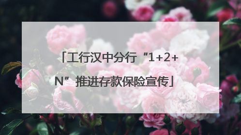 工行汉中分行“1+2+N”推进存款保险宣传