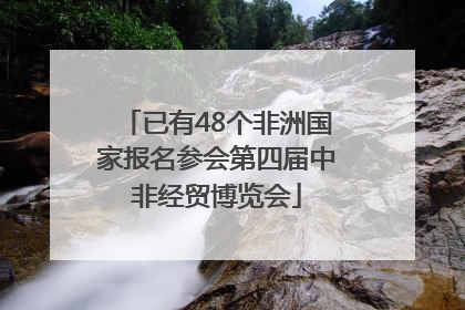 已有48个非洲国家报名参会第四届中非经贸博览会