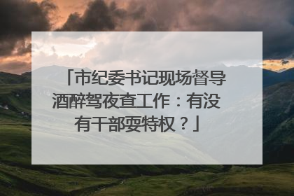 市纪委书记现场督导酒醉驾夜查工作：有没有干部耍特权？