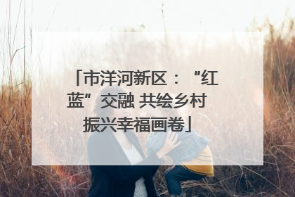 市洋河新区：“红蓝”交融 共绘乡村振兴幸福画卷