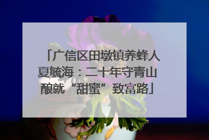 广信区田墩镇养蜂人夏毓海：二十年守青山酿就“甜蜜”致富路