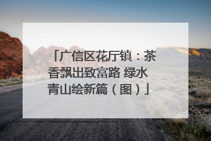 广信区花厅镇：茶香飘出致富路 绿水青山绘新篇（图）