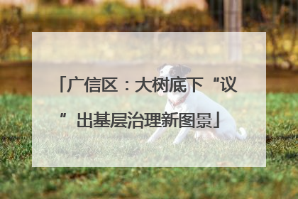 广信区：大树底下“议”出基层治理新图景