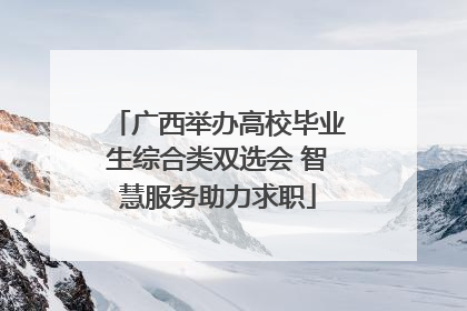 广西举办高校毕业生综合类双选会 智慧服务助力求职