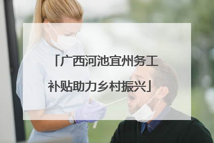 广西河池宜州务工补贴助力乡村振兴