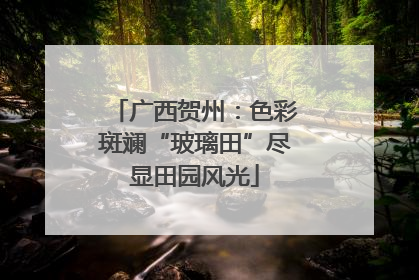 广西贺州：色彩斑斓“玻璃田”尽显田园风光
