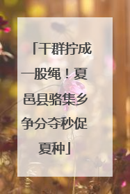 干群拧成一股绳！夏邑县骆集乡争分夺秒促夏种