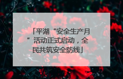 平湖“安全生产月”活动正式启动，全民共筑安全防线