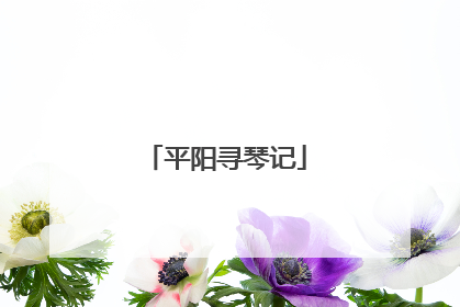 平阳寻琴记