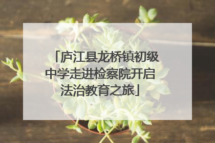 庐江县龙桥镇初级中学走进检察院开启法治教育之旅