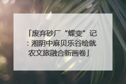 废弃砂厂“蝶变”记：湘阴中麻贝乐谷绘就农文旅融合新画卷