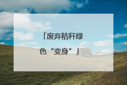 废弃秸秆绿色“变身”