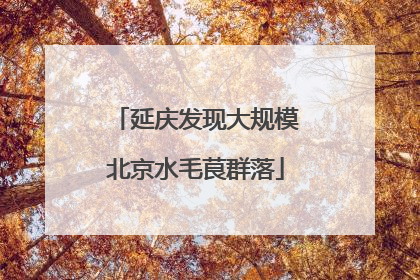 延庆发现大规模北京水毛茛群落