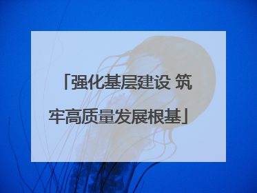强化基层建设 筑牢高质量发展根基