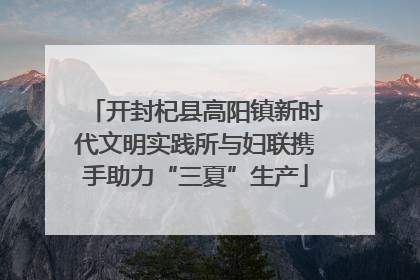 开封杞县高阳镇新时代文明实践所与妇联携手助力“三夏”生产