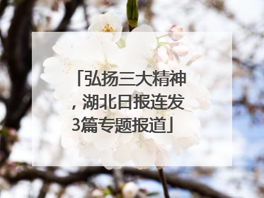 弘扬三大精神，湖北日报连发3篇专题报道