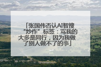 张国伟否认AI智搜“炒作”标签：骂我的大多是同行，因为我做了别人做不了的事