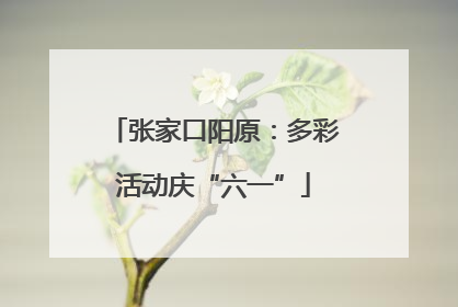 张家口阳原：多彩活动庆“六一”