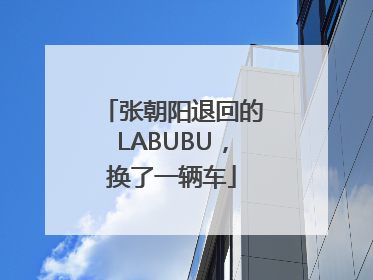 张朝阳退回的LABUBU，换了一辆车