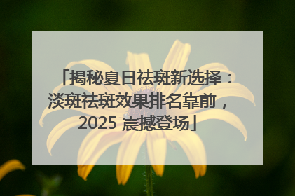 揭秘夏日祛斑新选择：淡斑祛斑效果排名靠前，2025 震撼登场