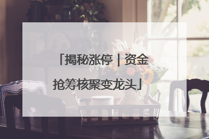 揭秘涨停｜资金抢筹核聚变龙头