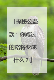 探秘公益款：你跑过的路将变成什么？