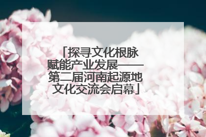 探寻文化根脉 赋能产业发展——第二届河南起源地文化交流会启幕