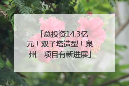 总投资14.3亿元！双子塔造型！泉州一项目有新进展