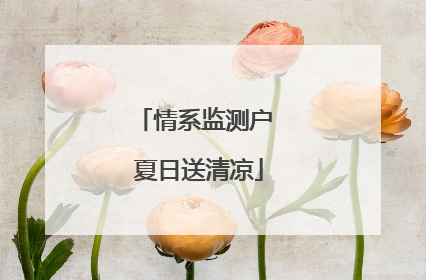 情系监测户 夏日送清凉
