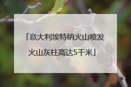意大利埃特纳火山喷发 火山灰柱高达5千米
