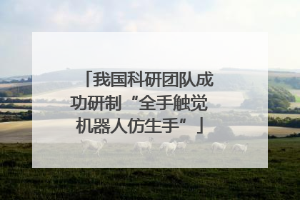 我国科研团队成功研制“全手触觉机器人仿生手”